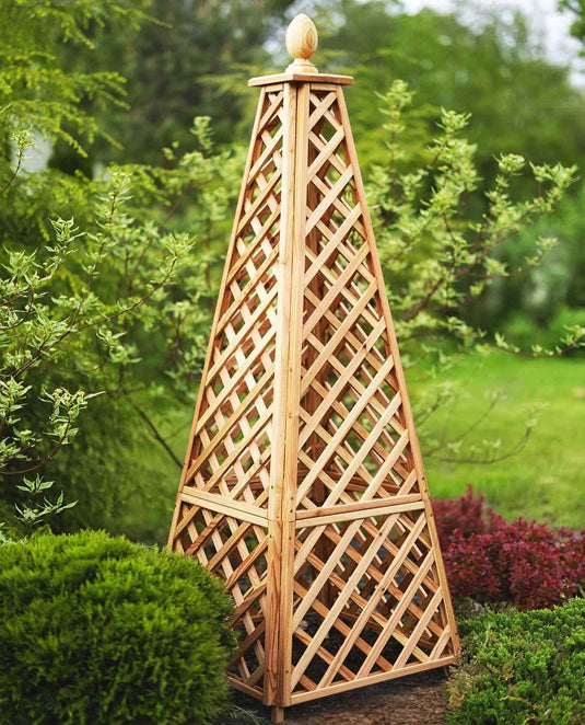 Obelisk Larch
