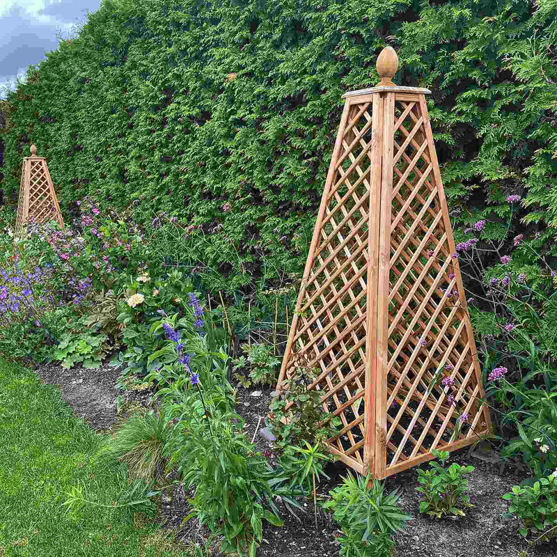 Load image into Gallery viewer, Obelisk Larch
