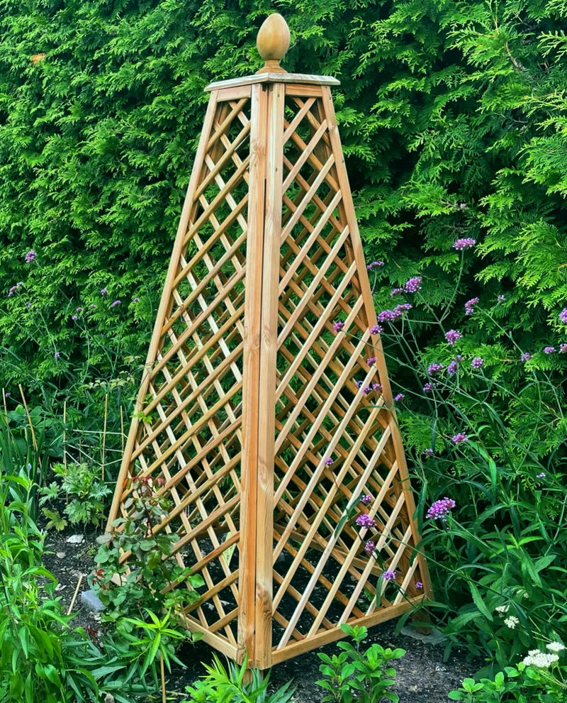 Load image into Gallery viewer, Obelisk Larch
