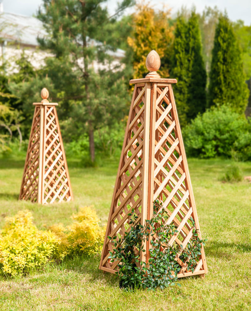 Load image into Gallery viewer, Obelisk Larch
