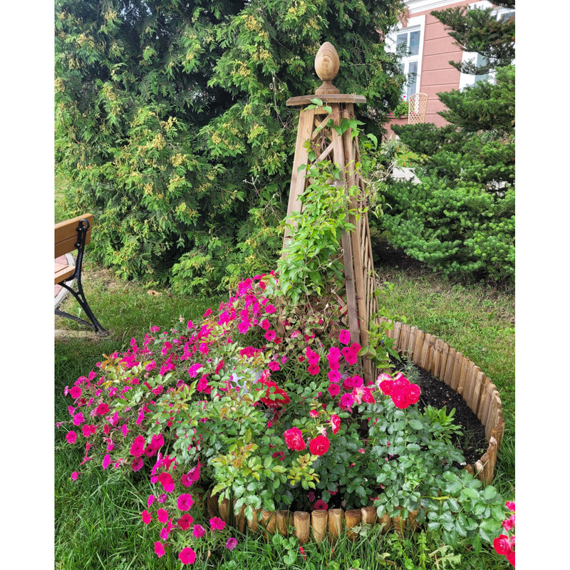 Load image into Gallery viewer, Obelisk Pine
