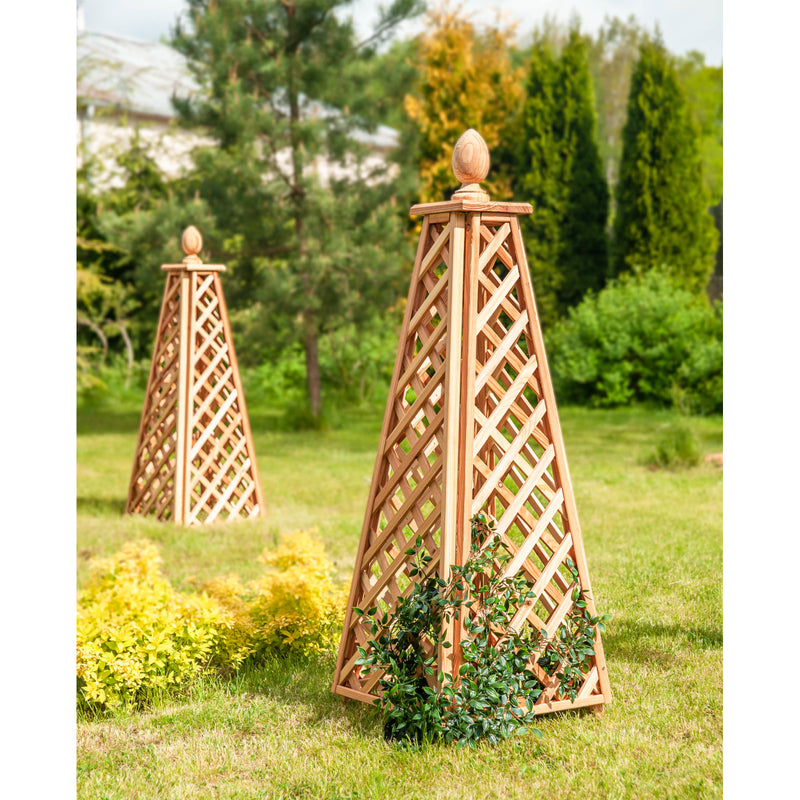 Load image into Gallery viewer, Obelisk Larch

